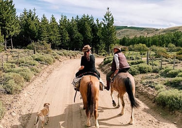 Two people on horseback riding on a trail.