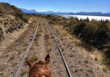 An abandoned railroad track in a mountainous landscape.
