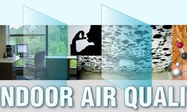 Mold and air quality testing
