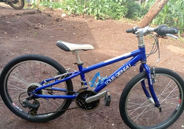 Child bike for hire