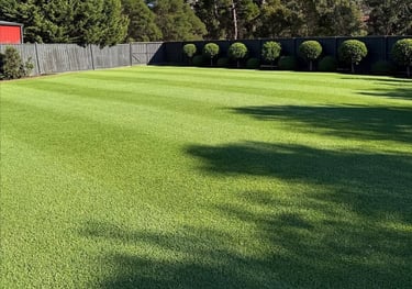 Natural lawn grass suppliers Hyderabad