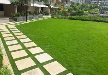 lawn grass suppliers Kadiyam