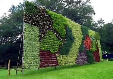 lawn grass supplier Hyderabad