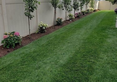 lawn grass installation in Rajahmundry