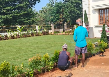 lawn grass installation in Kadiyam