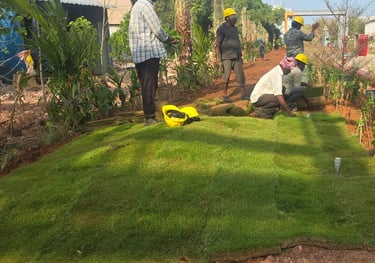 lawn grass cultivation Kadiyam