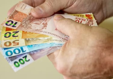 a person holding a bunch of money in their hands