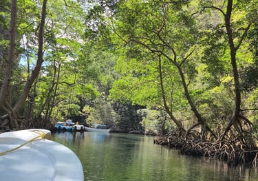 Parc Los Haitices depuis Miches