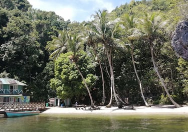 Los Haitises National Park