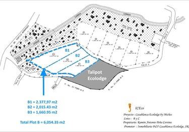 Click to enlarge - Land for sale for Confotur Projets