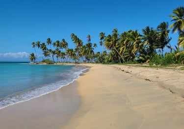 Photo Playa Esmeralda Miches - Click to enlarge