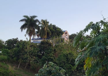Photo Casablanca Ecolodge - Land for sale