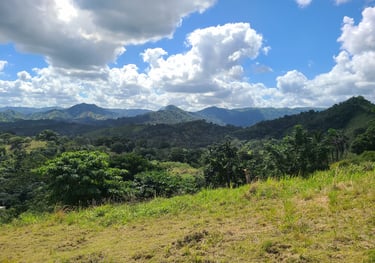 Photo Miches - Land for sale
