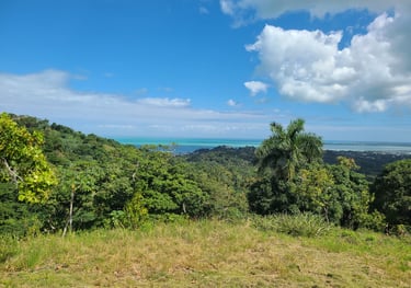 Photo Miches - Land for sale