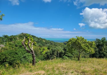 Click to enlarge - Land for Sale Confotur