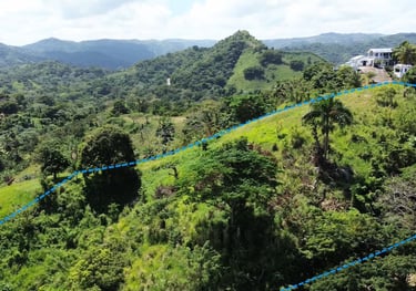 Click to enlarge - Land for Sale Confotur