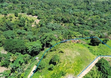 Click to enlarge - Land for Sale Confotur