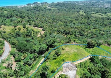 Click to enlarge - Land for Sale Confotur