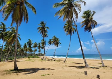 Playa El Limón