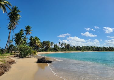 Playa Esmeralda Miches