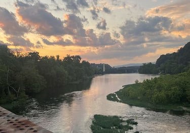 a river and a bridge in the background