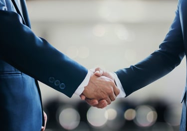 Grupo Forte Consultoria especialista em Governança Politica, Terceiro Setor e Hospedaria