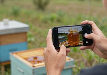 A digital content creator using a smartphone to film a behind-the-scenes video of honey being harvested in a North American / US apiary.