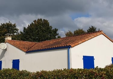 Nettoyage par drone, démoussage de toiture, Nettoyage de panneaux solaires, façade et bardage 