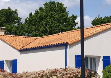 Nettoyage par drone, démoussage de toiture, Nettoyage de panneaux solaires, façade et bardage 