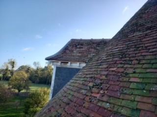 Nettoyage par drone, démoussage de toiture, Nettoyage de panneaux solaires, façade et bardage 