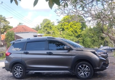 bali car driver