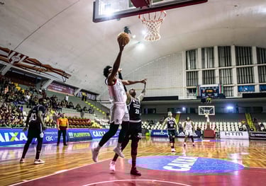 Basquete