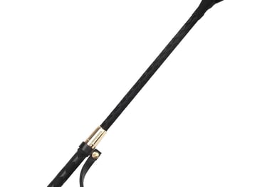 Beginner-Friendly Whip