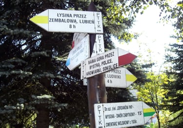 Pobliskie trasy turystyczne