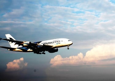 travel service offered: flight booking