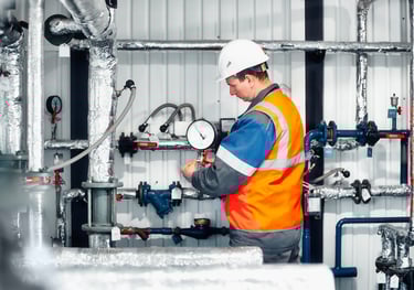 Building Inspection and Water Testing