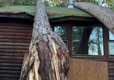 tree damage to cottage in a storm