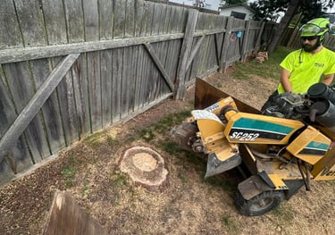 stump grinding service in North Bay