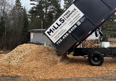Mills tree service wood chipping services