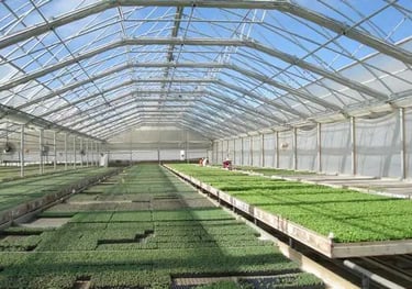 Agriculture Greenhouse
