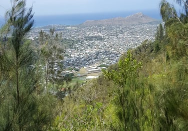 A view from a distance of  Diamond head Honolulu Hawaii