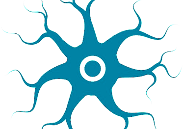 Neurons - IQ Competition