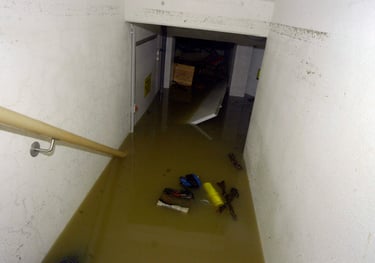a hallway with a staircase and a wooden railing submerged in sewage water backup