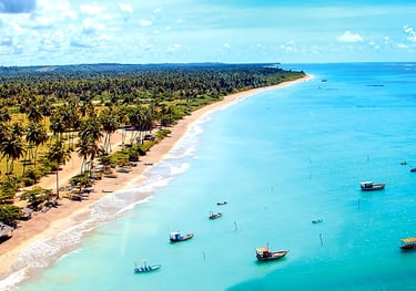 a beach with boats and palm trees in the background