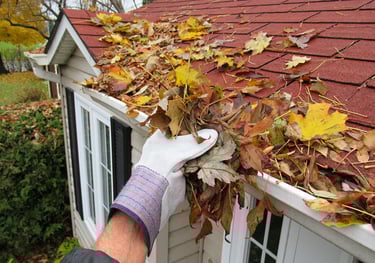 Cleaning up clogged gutters in High Springs Florida