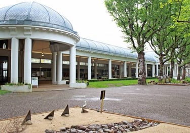 Appartement cure vittel