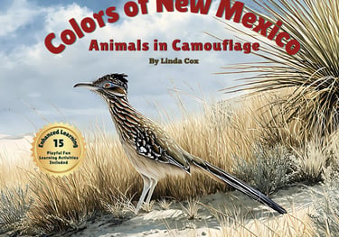 New Mexico kids book