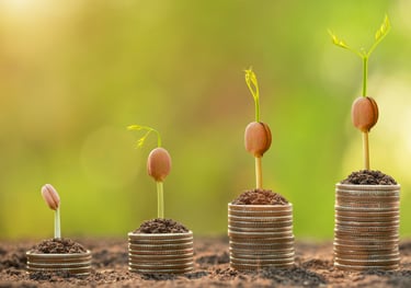 a row of coins with a plant growing from the coins