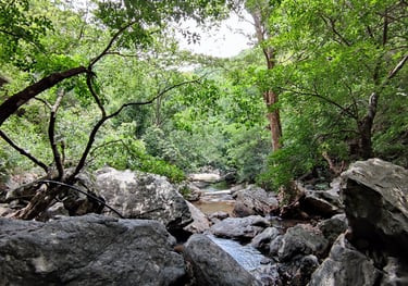 best resorts in anaikatti