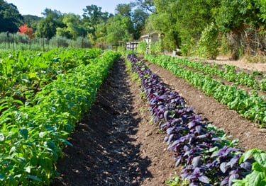 Best Resorts near coimbatore